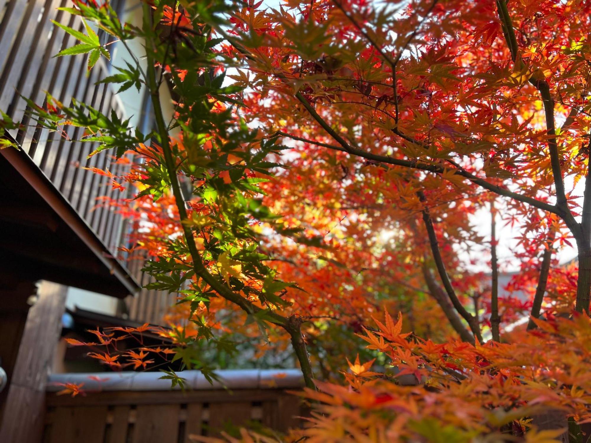 Villa Imakumano Terrace - Dohachi An 道八庵 à Kyoto Extérieur photo